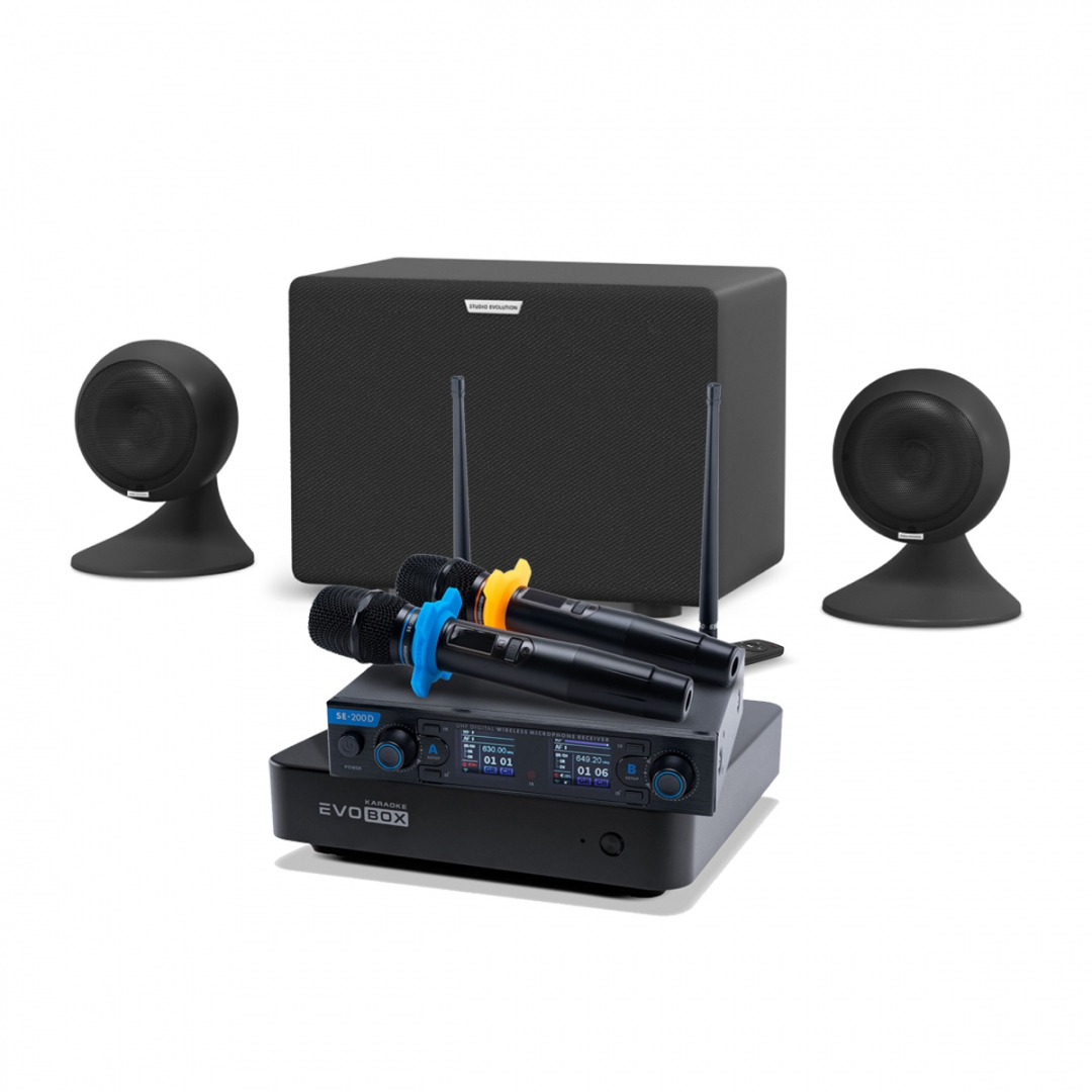 караоке-комплект EVOBOX + EvoSound Sphere 2.1 в Гурьевске
