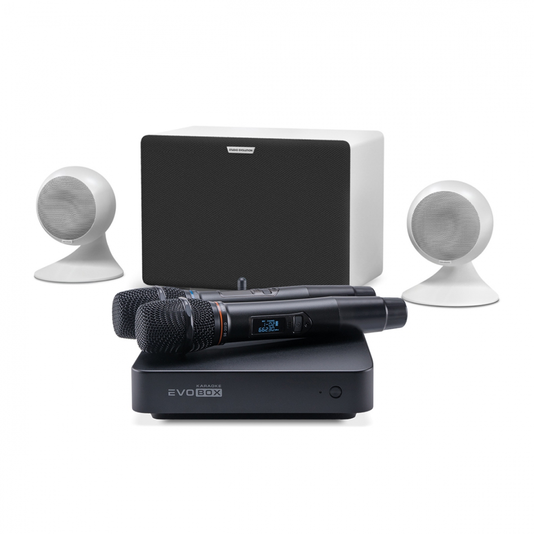 караоке-комплект EVOBOX Classic + EvoSound Sphere 2.1 в Гурьевске