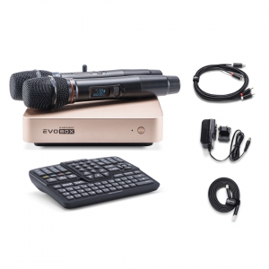 EVOBOX Plus караоке-система для дома в Гурьевске