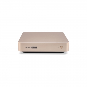 EVOBOX с микрофонами в Гурьевске